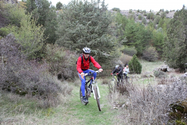  Alugue a sua BTT em Soria 