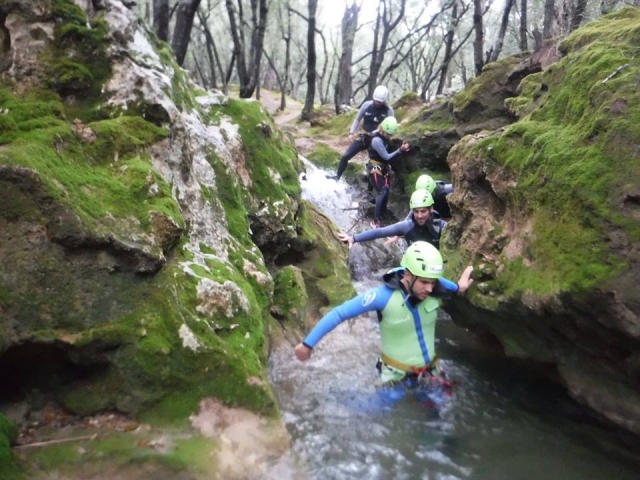  Groupe dans l'eau 