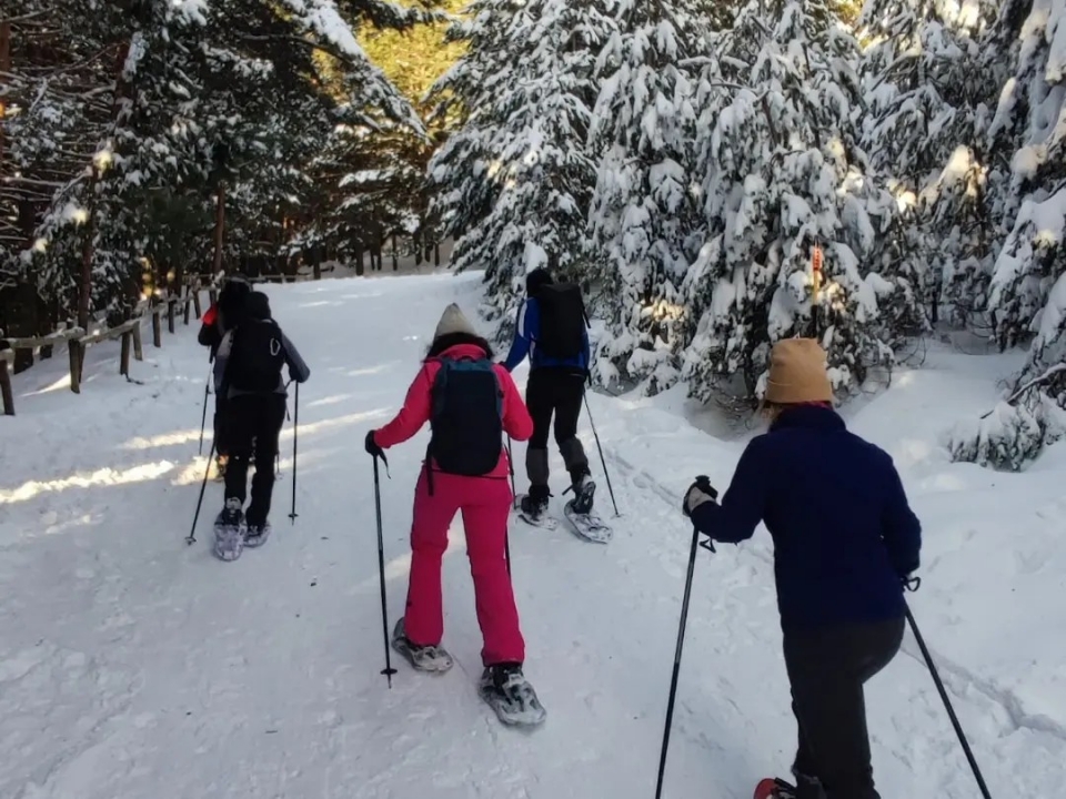 Raquetas de nieve