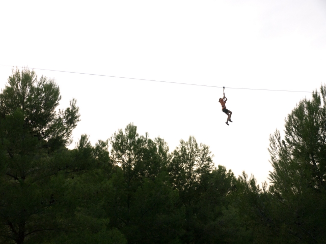  Survoler la forêt