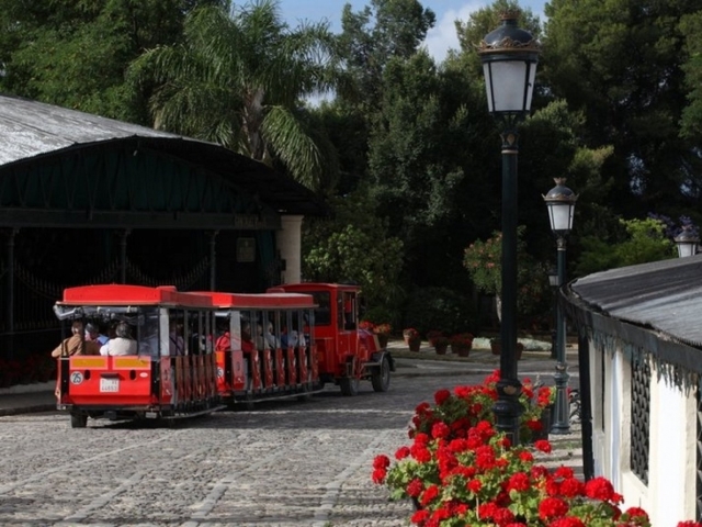  Train 