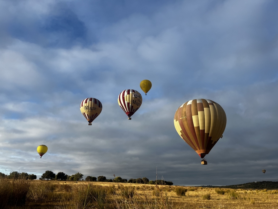  Profiter de la vue depuis les airs 