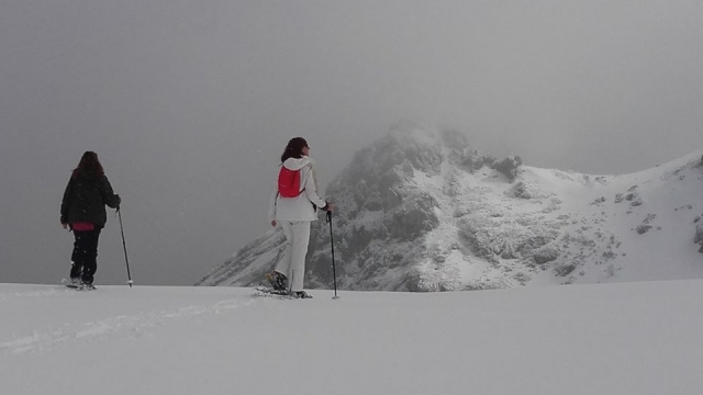  contemplazione della neve 