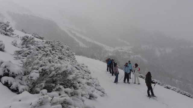  paesaggi invernali