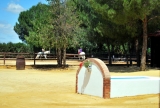 Curso de introdução à equitação, Carmona, 2h