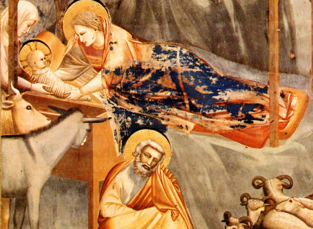 Giotto's Nativity Scene 