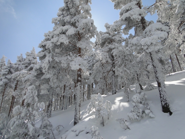  享受雪地乐趣 