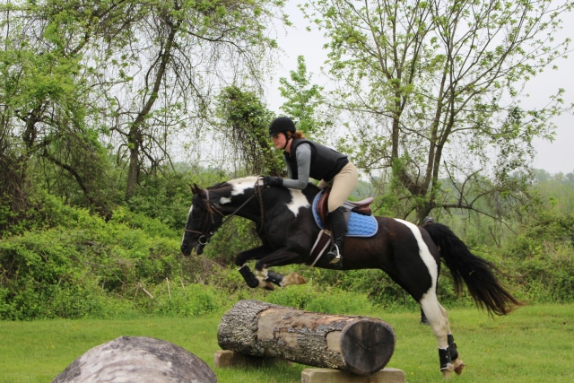 Cours d'équitation 30 minutes 