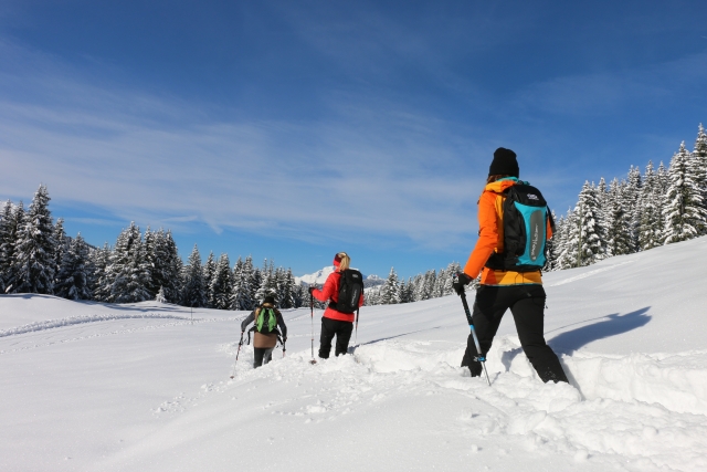 Caminado con raquetas por nieve virgen