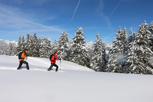 Caminata con raquetas de nieve 