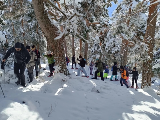 Raquetas de nieve en Madrid
