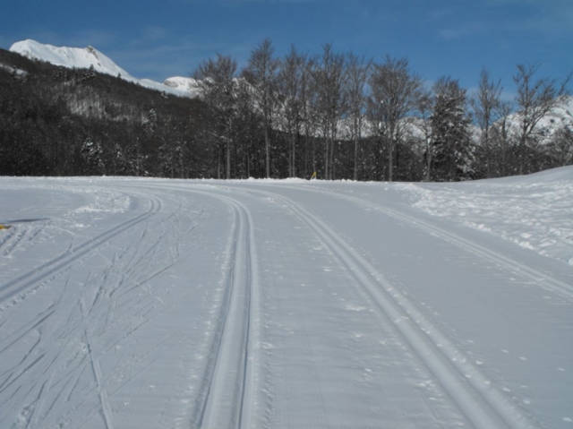 Nieve en Somport
