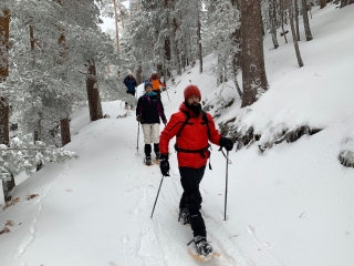 Ascenso a Siele Picos con raquetas y Desayuno
