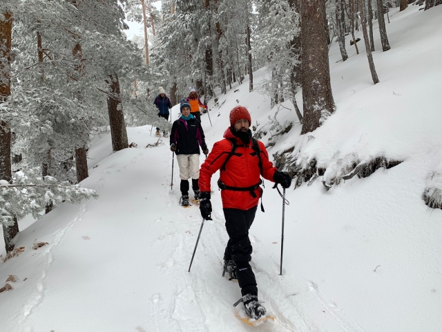 Ascenso a Siete Picos con raquetas y Desayuno