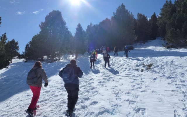  Divertirsi con le ciaspole a Barcellona 