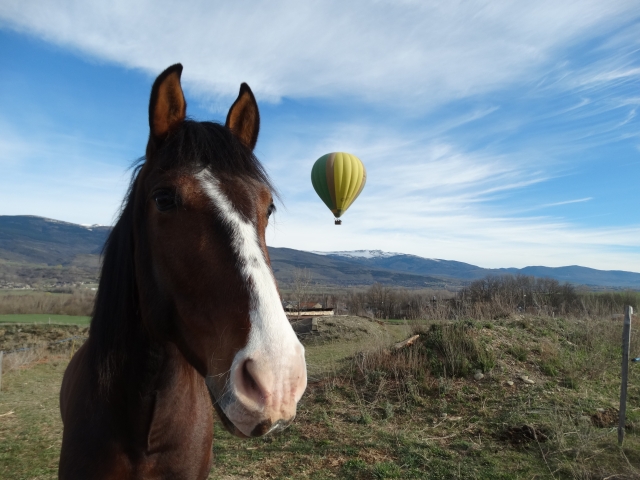 Caballo y globo aerostático en Cerdanya
