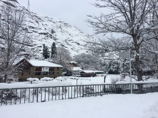  Snowy landscape