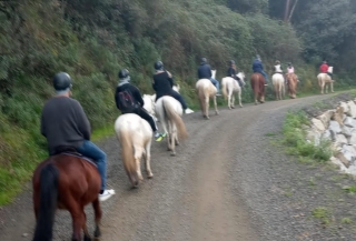 Paseo a caballo en Santa Susanna 90 minutos Adulto
