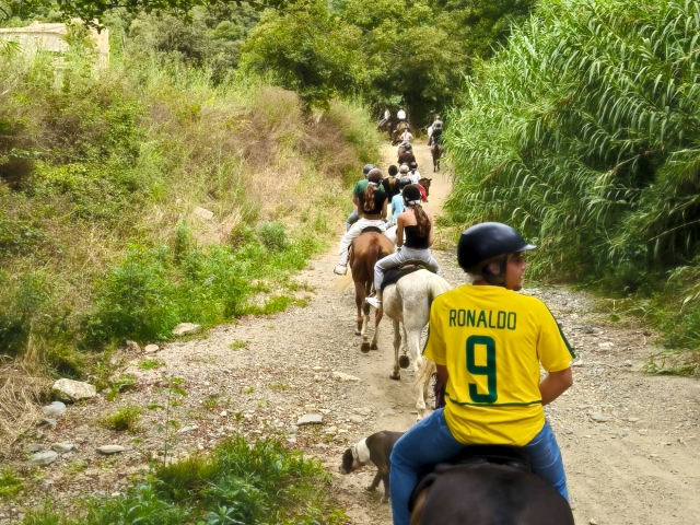  骑着漂亮的马穿过梅雷斯梅 