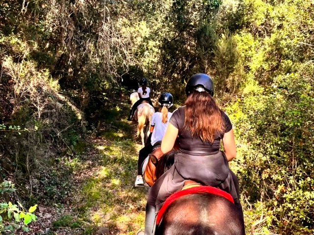  集体骑行穿过加泰罗尼亚小镇