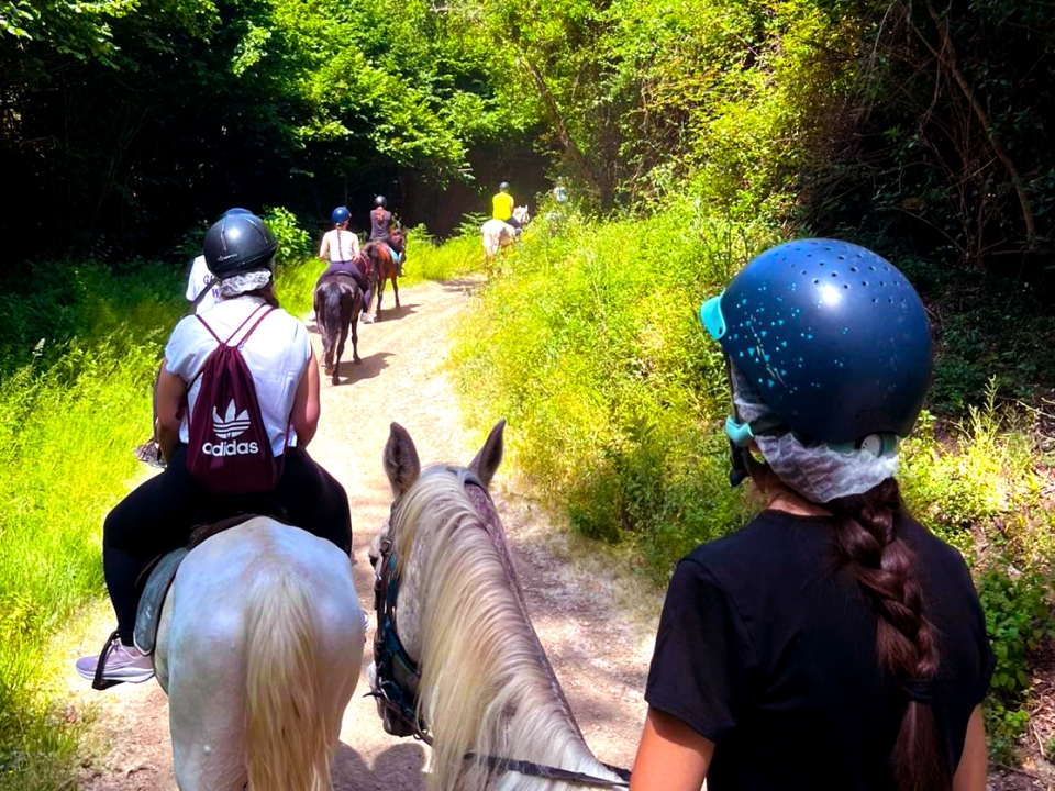 Route along the paths of Montnegre 