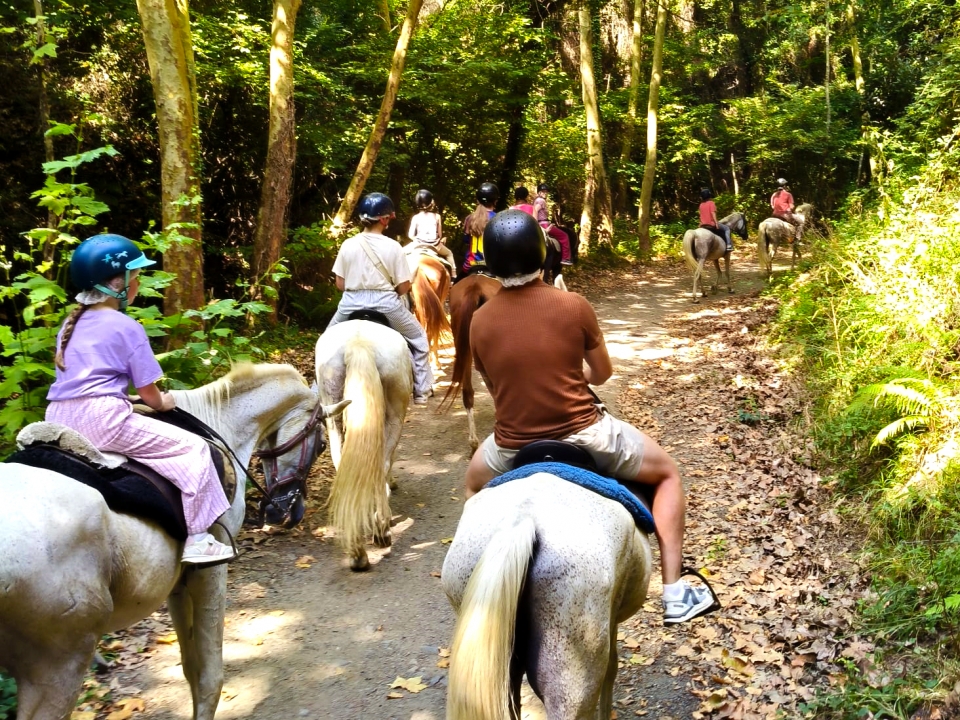  Horseback ride through the nature of the Montnegre Natural Park 
