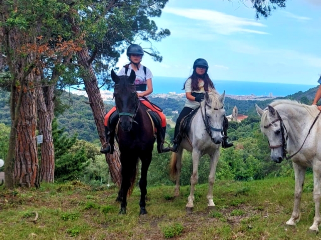  圣苏珊娜的骑马课程 