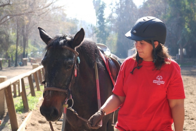  巴塞罗那的骑马课程 