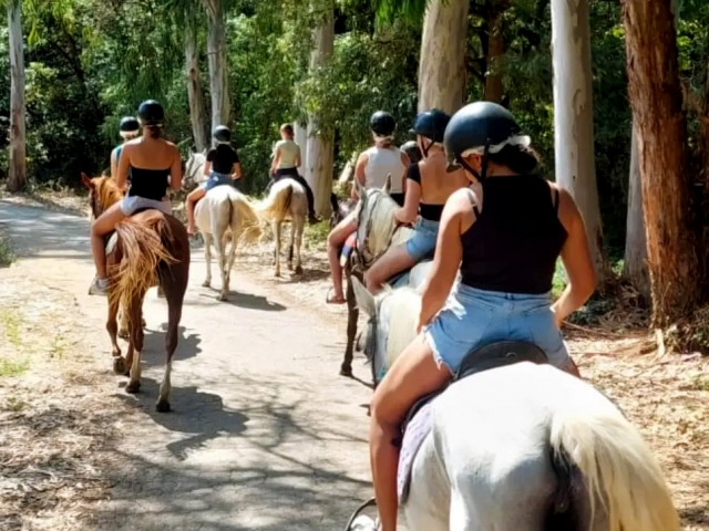 我们正在前往蒙特内格里自然公园的路线 