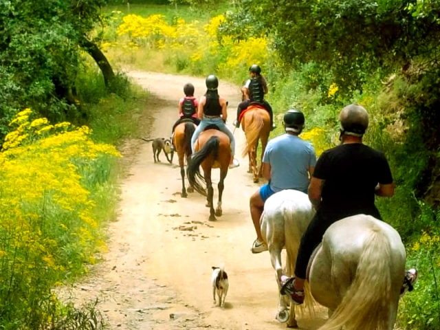  骑马穿过蒙特内格里自然公园 