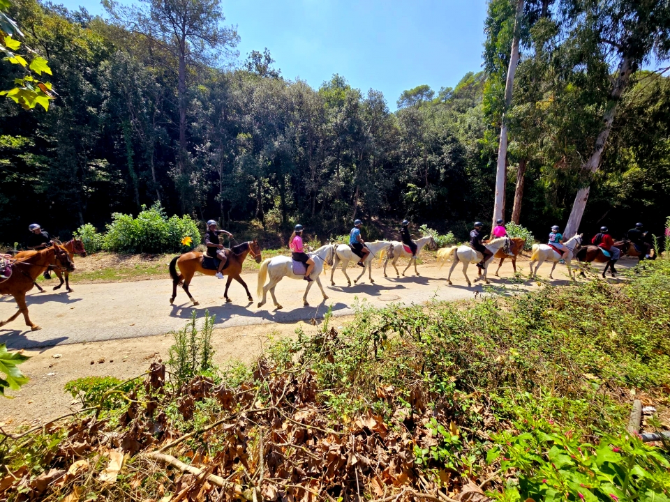 骑马穿过蒙特内格里山脉 