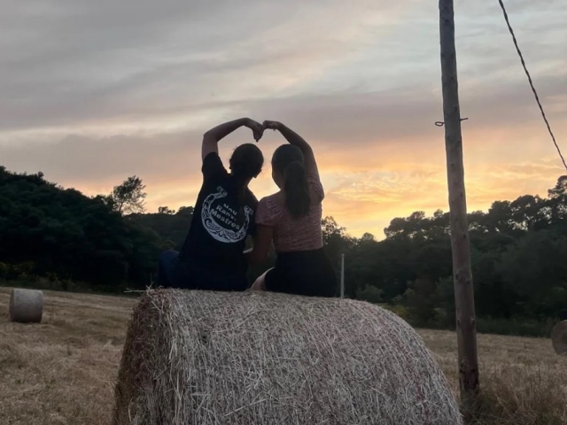  Learn to ride a horse