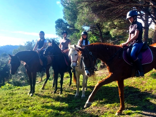  Horse riding voucher in Sierra de Montnegre 