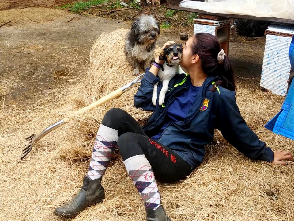  Horse riding lessons in Santa Susanna 