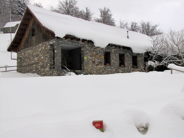  The snowy refuge