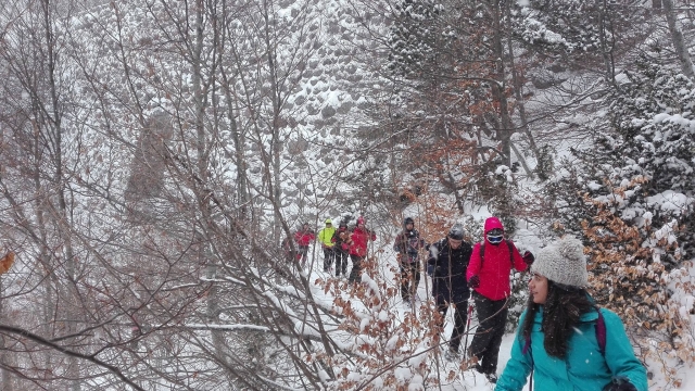  Attraverso il bosco con le ciaspole 
