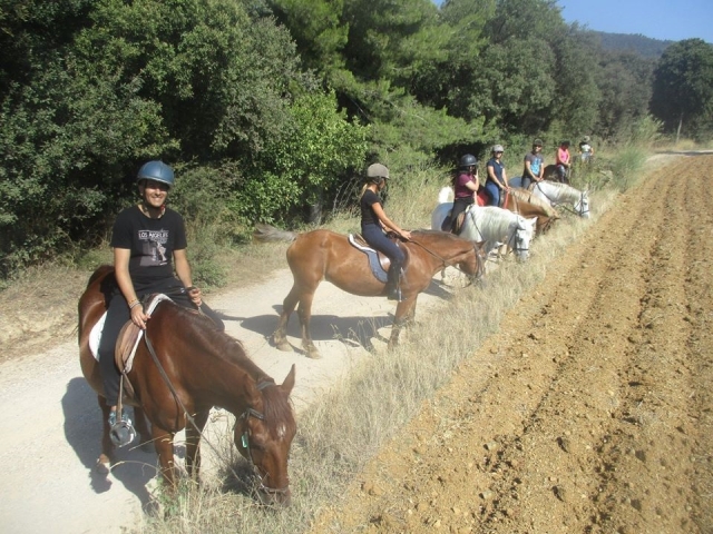  Arrêt avec les chevaux pendant le parcours 