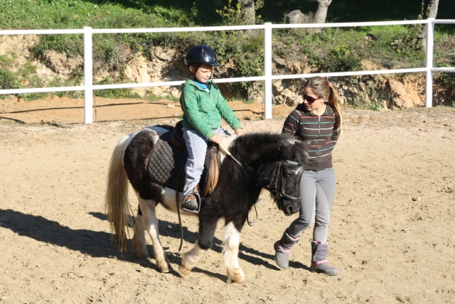  Offre d'équitation de Noël 