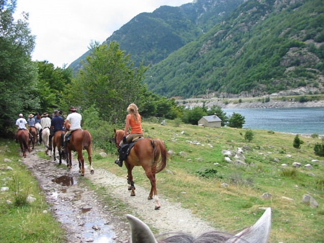  Cours d'équitation 