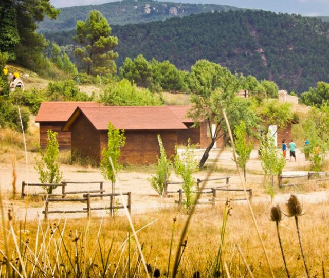  Das Camp 