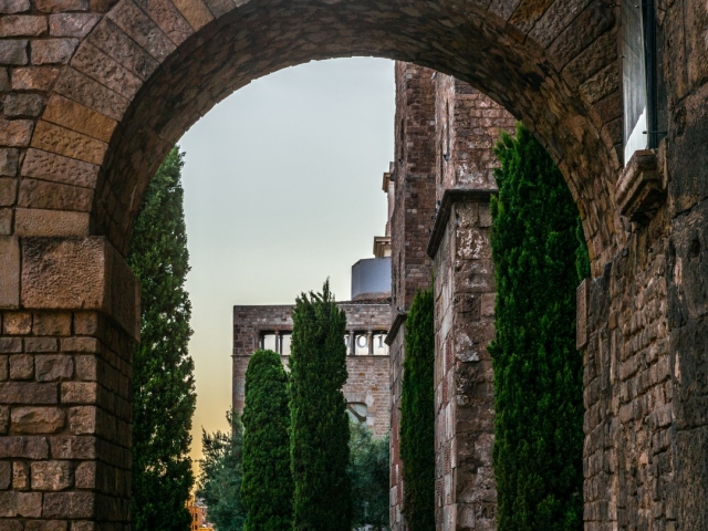  Esplora il Quartiere Gotico 