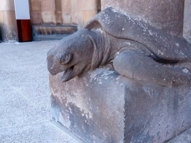  Water turtle on Joseph's Column 
