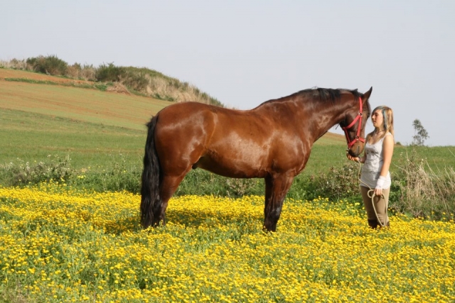  Mit dem Pferd auf der Weide 