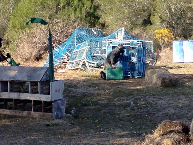 Le jeu de la bombe de la ferme 