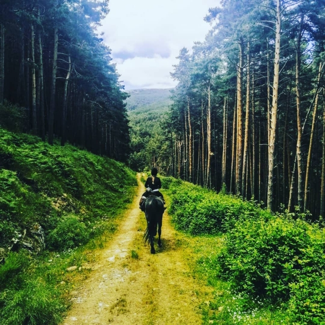 A caballo en el bosque