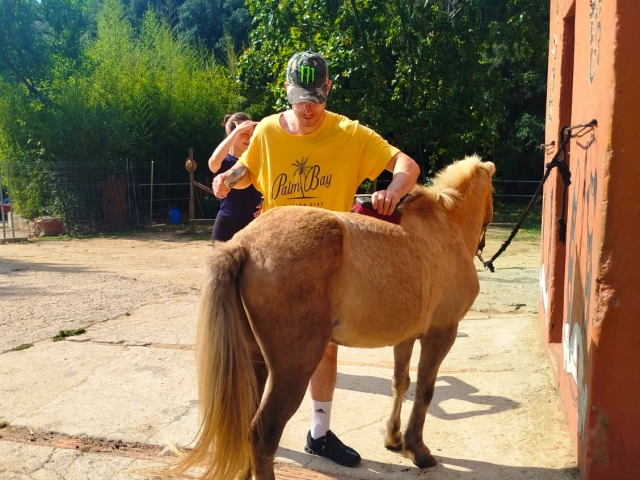 Actividad con ponis para ninos en Barcelona