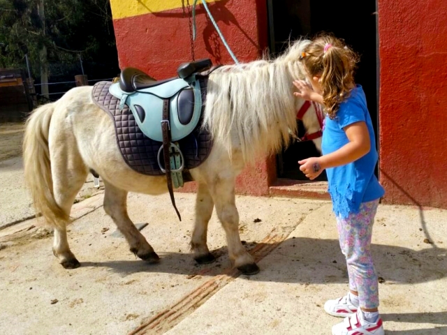Paseo en poni para ninos en Santa Susana