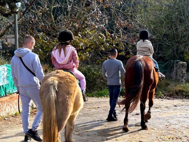 Paseo en poni por Montnegre