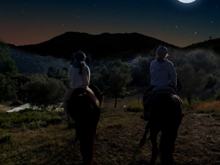 Horseback riding route at the full moon through Montnegre, 2h