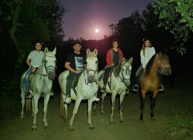  Horseback riding at night in Barcelona